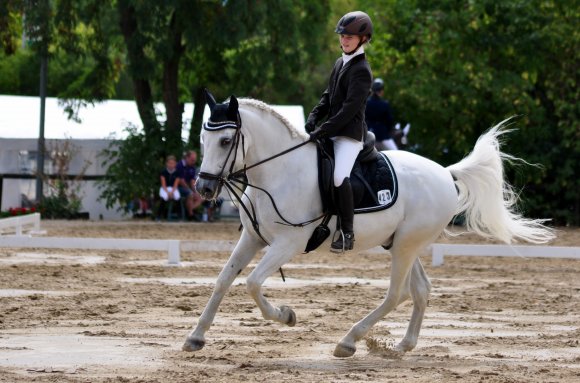 In beiden Dressur-Wettbewerben der E-Klasse konnte sich Maike Ziegler auf Poniente zweimal platzieren.