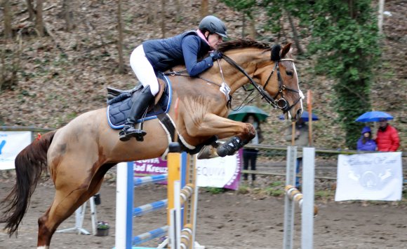 Franziska Gorenflo hatte auf Valencia H Pech im Stecken des M*-Springens. Nach einer gerissenen Stange am vorletzten Hindernis blieb ihr Platz vier.