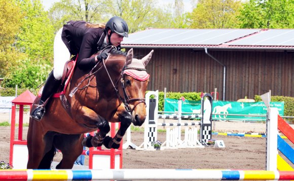 Für Lena Horn und Amazing Time H sah es im Stilspringen der Klasse L zunächst nach einem Sieg aus, dann unterlief dem Paar ein Fehler an der Kombination, so dass nun Platz sechs für die Reiterin des RFV Mainz-Gonsenheim zu Buche steht. Im M*-Springen kam sie auf den vierten Rang.