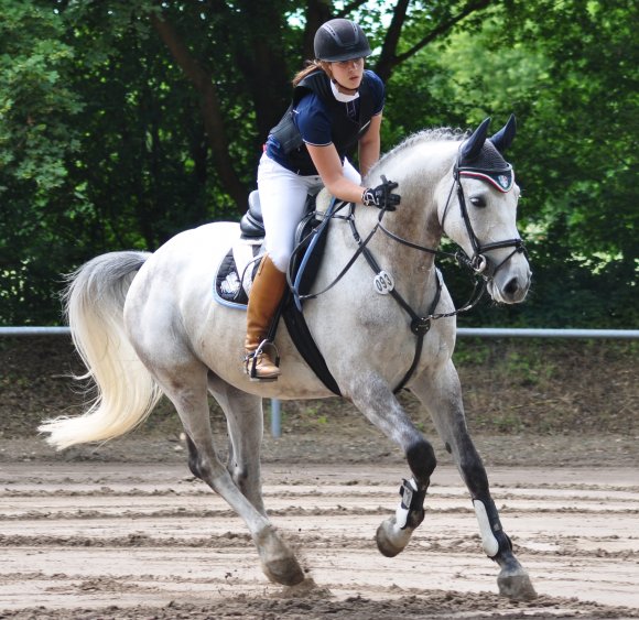 Katharina Wolf feierte nach den Rheinhessenmeisterschaften nun auch beim M*-Springen mit Stilwertung in Hechtsheim einen Erfolg.
