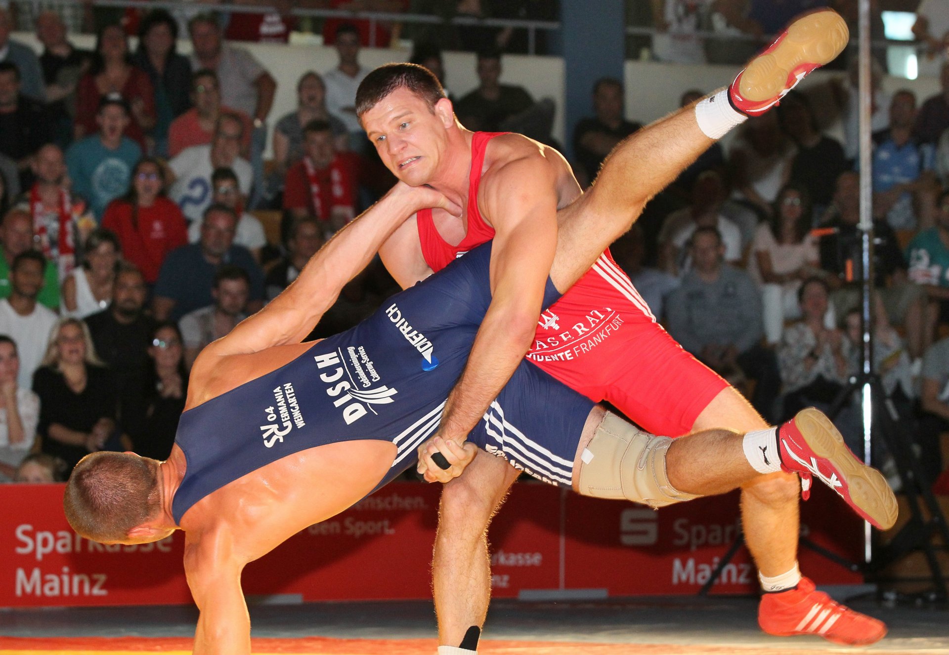 WELTMEISTER  Auf dem vorletzten Rang beenden die Ringer des ASV Mainz 88 die Bundesligasaison. Nicht schön für das erfolgsverwöhnte Team und seine Fans nach fünf Jahren, in denen die 88er mindestens im Halbfinale gestanden haben und einmal Deutscher Meister geworden sind, aber einkalkuliert. 2016 soll eine Übergangssaison gewesen sein, 2017 soll es wieder aufwärts gehen. Einen Höhepunkt gibt’s im letzten Kampf des Jahres: Der Ungar Bálint Korpási, seit vier Jahren für die Mainzer aktiv, geht als frischgebackener Weltmeister im Weltergewicht auf die Matte und besiegt den Nendinger Daniel Cataraga – seinen Gegner aus dem WM-Finale.