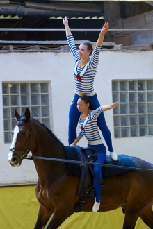 Mit einer abgespeckten Kür waren die Laubenheimer Voltigiererinnen beim Sichtungsturnier in Bad Ems erfolgreich.