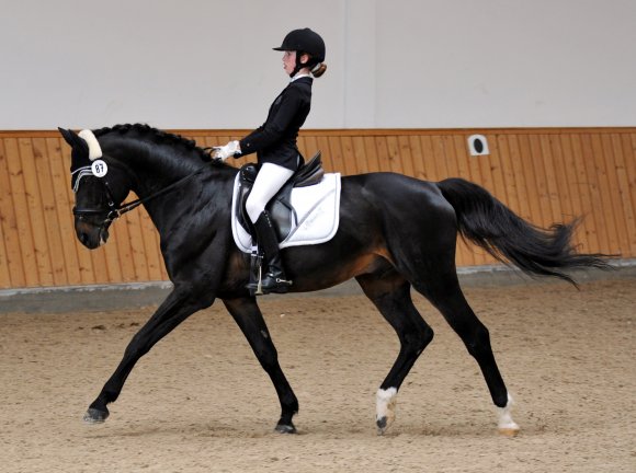 Beim Nachwuchswettbewerb HLH-Cup durfte Anouk Schäfer (RZV Rheinhessen-Mitte Jugenheim) auf dem erfahrenen Oldenburger Festival Felix den Siegerpreis entgegennehmen.