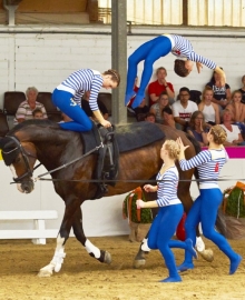 Sehr souverän sicherte sich das Juniorteam des VFZ Ebersheim in Trier den Landesmeistertitel.