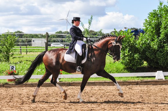 Lokalmatador Simone Becker verteidigte erneut ihren Titel beim Dressurwettbewerb des Ebersheimer Turniers.