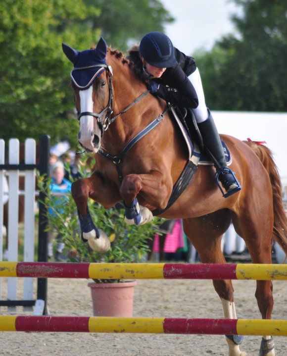Vanessa Weitzel sorgte auf der fünfjährigen Stute Rose Red P beim Stilspringen der Klasse A* für einen Sieg des LRFV Bodenheim.