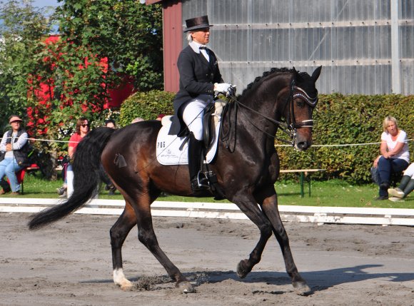 Uta Gräf entschied auf Lawrence erneut die Grand Prix-Wertung für sich und gewann zudem die Intermediaire II.