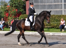 Uta Gräf entschied auf Lawrence erneut die Grand Prix-Wertung für sich und gewann zudem die Intermediaire II.