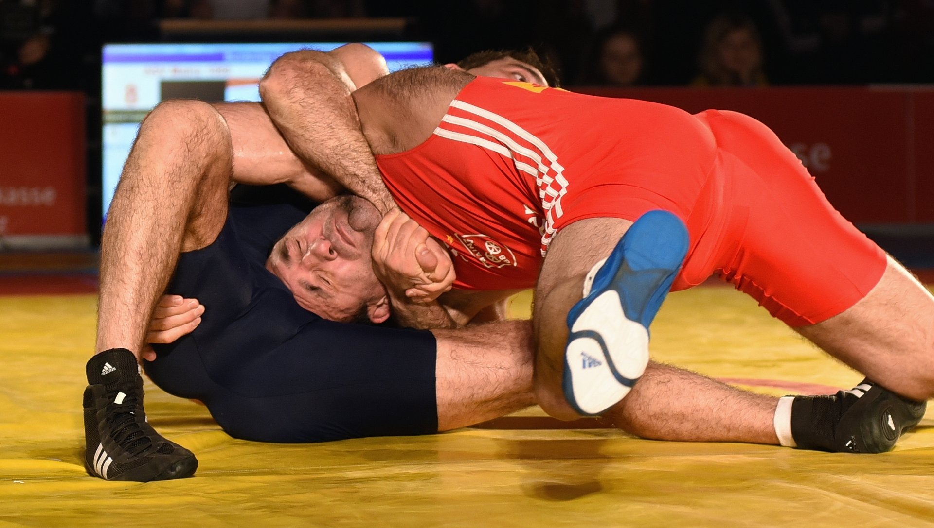 ASV-Trainer Davyd Bichinashvili wehrte sich gegen Kakhaber Khubezthy nach Kräften...