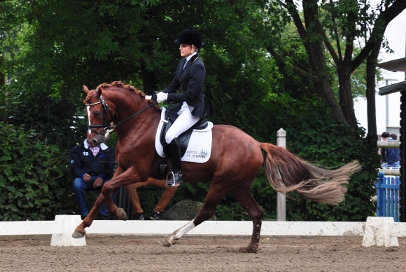 Annkatrin Anselstetter auf Charlie Brown, der Landesreitpferdechampion bei den vierjährigen Ponys wurde – für den Galopp gab es die Höchstnote 10,0.