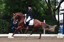 Annkatrin Anselstetter auf Charlie Brown, der Landesreitpferdechampion bei den vierjährigen Ponys wurde – für den Galopp gab es die Höchstnote 10,0.