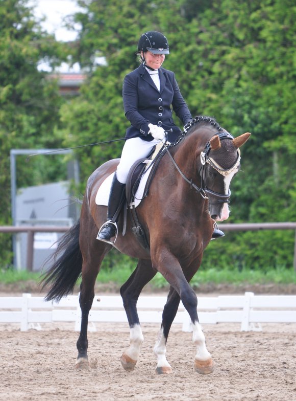 Auf Roseville, Nachkomme ihres Erfolgspferdes Hera, belegte die Ebersheimerin Simone Becker beim Heimturnier in der L-Dressur den zweiten Rang.