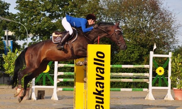 Die Ober-Olmerin Aline Meineck (RC Katharinenhof) erreichte in Bodenheim auf Robinia (Foto) und Wolke gleich mehrfach die Platzierungen. 