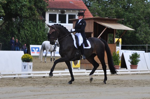 Olympiasiegerin Dorothee Schneider beherrschte beim Grand Prix auf Fohlenhofs Rock'n Rose den Parcours.