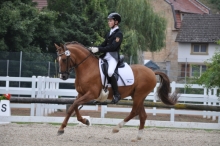 Der 14-jährige Raphael Netz (RFV Gonsenheim) aus dem Bundesperspektivkader hat aus Mainzer Sicht die besten Aussichten beim Ponyhallenchampionat. 