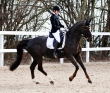 Jeanette Gebhard (PSV Mainz-Bretzenheim) startete beim Dressurturnier auf der Laubenheimer Höhe mit Rhytmic De Luxe in der M-Dressur.