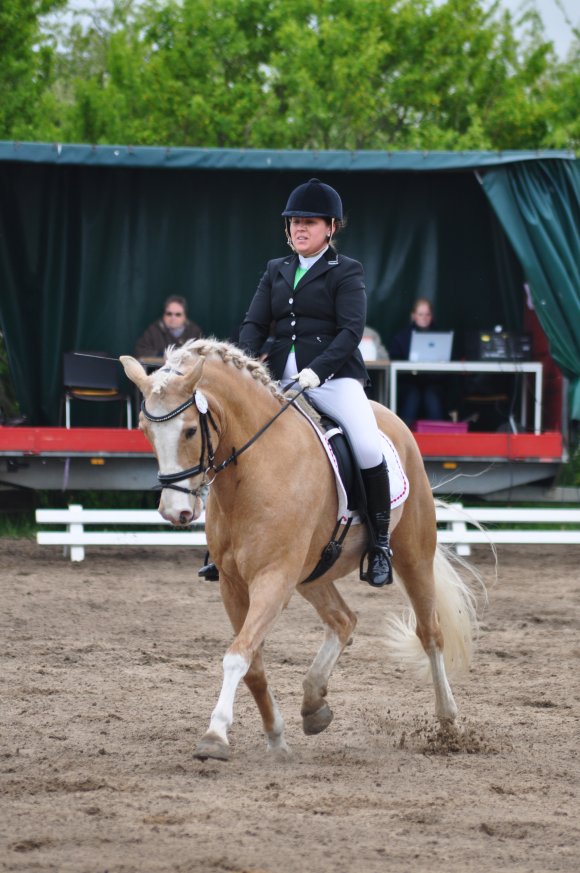 Carina Schuth  (RFV Mainz-Gonsenheim) gewann beim Finther Blütenturnier am Drressurtag auf Immenmoor Noble Fashion eine der beiden L-Dressurwettbewerbe.